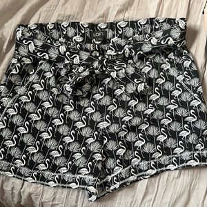 Dressy Shorts from Loft Sz XS